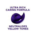 L’Oreal Elvive Colour Protect Anti-Brassiness Purple Hair Mask – 250ml - Image 2