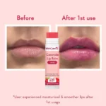 WishCare Ceramide Lip Balm with SPF 50 PA+++ (Tinted) Size: 5gm - Image 2