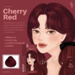 Kota Cosmetics Hair Color (Cherry) - Image 2