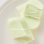 Beauty of Joseon Matte Sun Stick Mugwort+Camelia 18g - Image 3