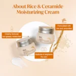 The Face Shop Rice & Ceramide Moisturizing Cream 50ml - Image 2