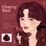 Kota Natural cherry Permanent Hair Color Cream (Cherry Red) - Image 3